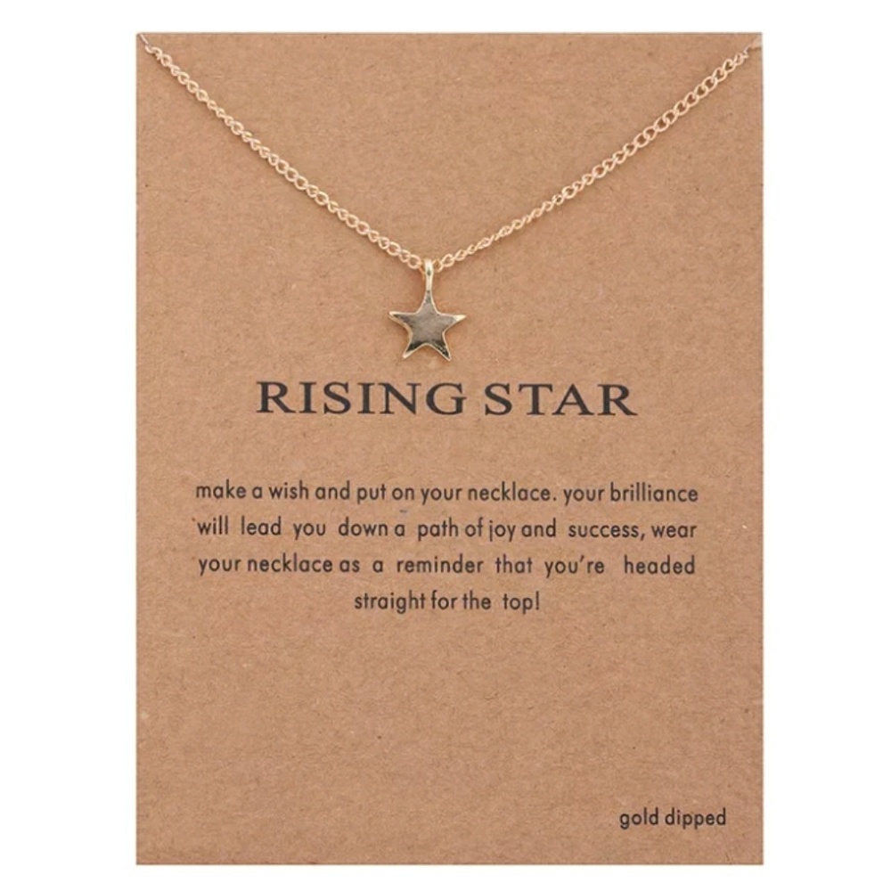 NWT Rising Star Necklace